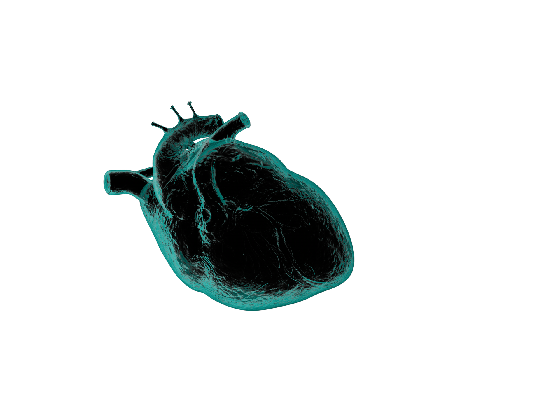 C&C Women's Fitness  image