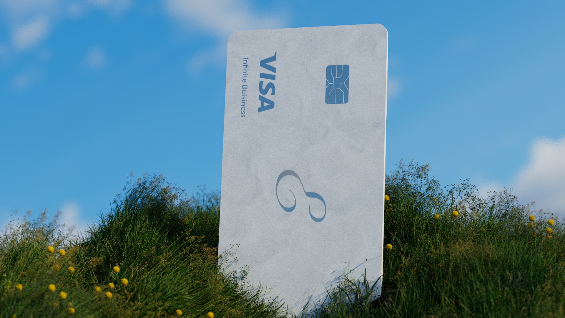 Visa Flex Card image