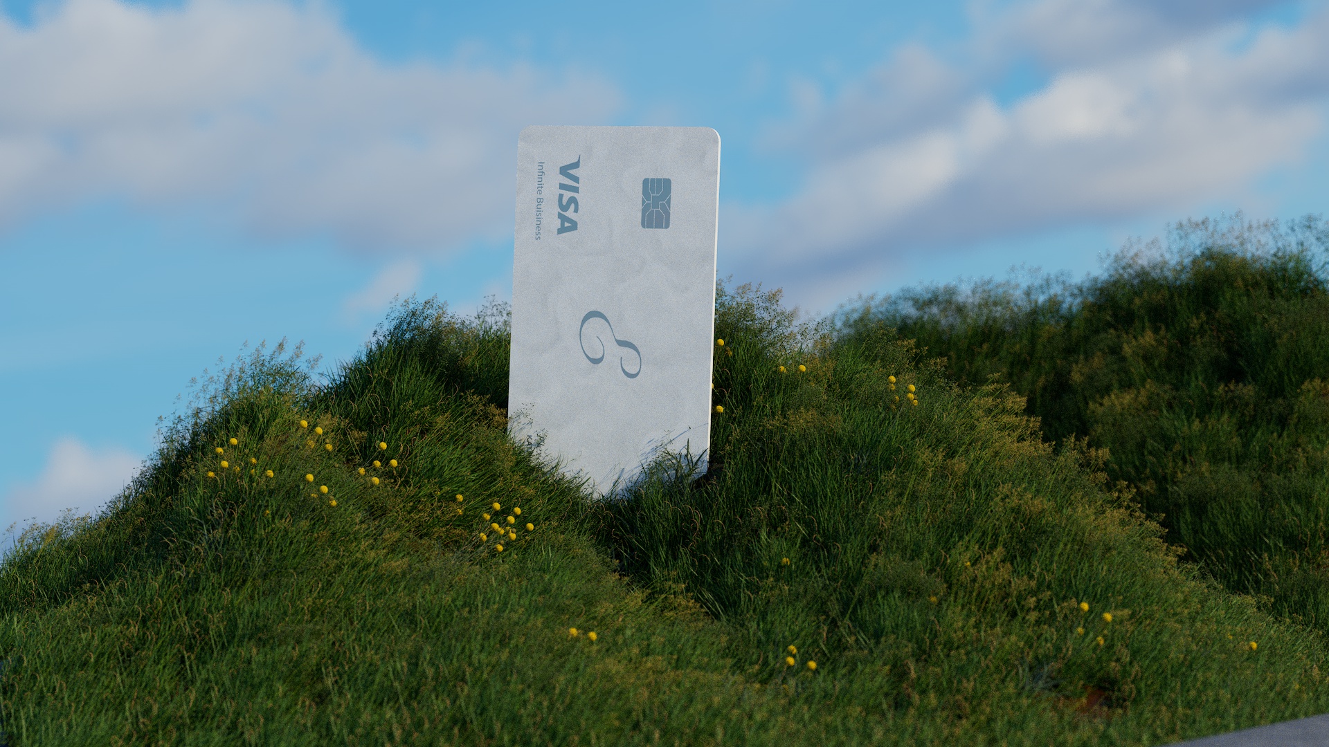 Visa Flex Card image